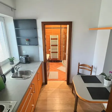 民宿 Apartman S Kuchyni V Soukromi U Areny *